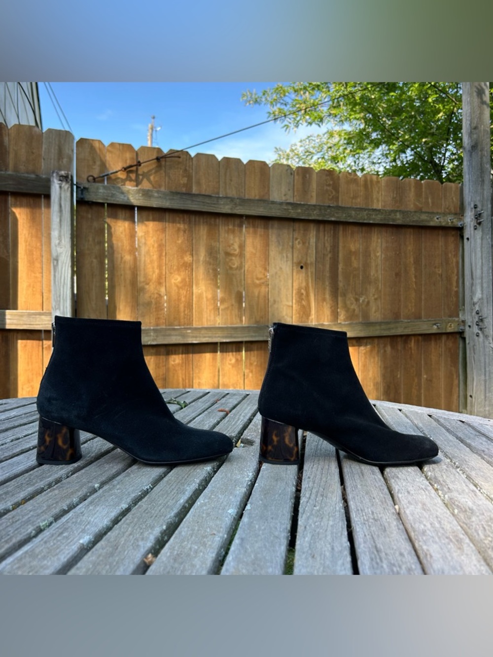 AGL VETA PRECIOUS Leather ankle boot with heel size 37 in Black
